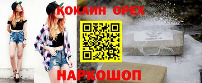 индика Камышлов