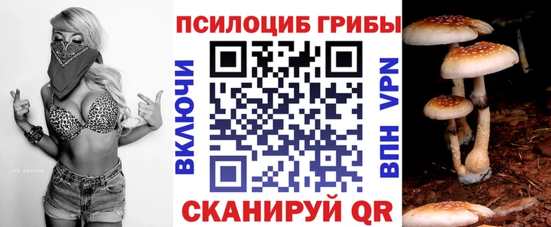 где купить наркоту  Протвино  hydra ССЫЛКА  Псилоцибиновые грибы ЛСД 